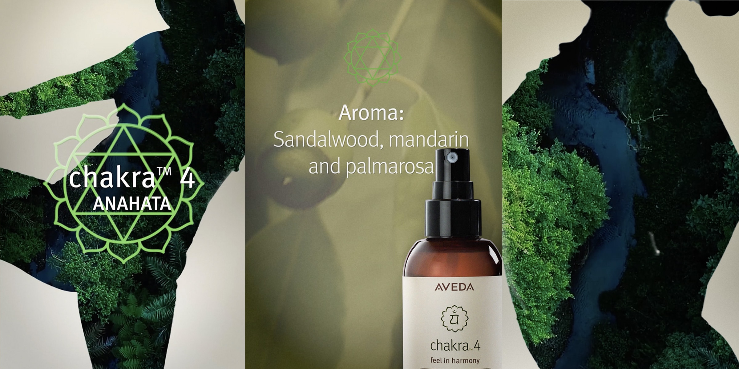 Das Aroma von Chakra 4 umfasst Saldalholz, Mandarine und Palmarosa